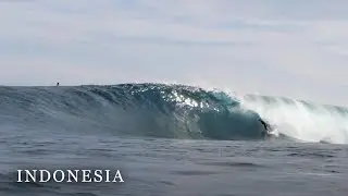 Surfing Mentawai | Palm Beach Board Riders