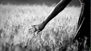 Thom Nagy - Field (Original Mix)