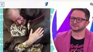 Кане корсо ЗорДон Из Созвездия Адомаса в передаче Видели Видео!!!