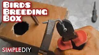 Simple wooden Breeding Box for Birds|DIY using scrap wood|cost free DIY