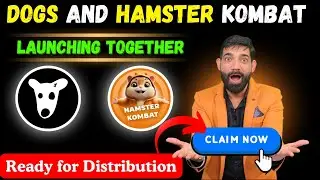 Hamster Kombat Launching, Withdrawal, Distribution, News | Dogs Launching, Withdrawal, Distribution