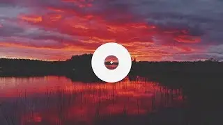 Foxes in Fiction - Memory Pools