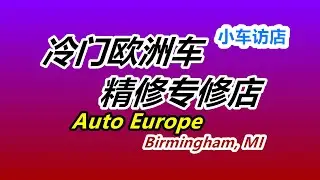 访店冷门欧洲车汽修厂经销商—美国修车/意大利英国法国瑞典车维修