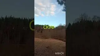 КАпищЕ