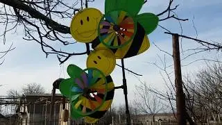 Весенняя Ревизия Чистка Улья Осмотр Пчёл Весной 05.03.2020