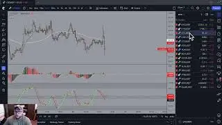 AMAZING! What Our LIVE TRADING Uncovers...You Won't Believe What Happens Next!