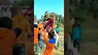 जबरदस्त घोड़े का डांस दो पैरों पर खड़ा होकर चलने का डांस 🐴