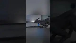 the dolphin came out of the dragon's mouth