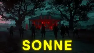 Assault On Braithwaite Manor │ Sonne │ RDR2