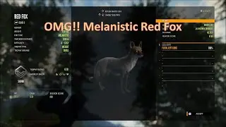 TheHunter: COTW PS5 Diamond and rare highlights #14