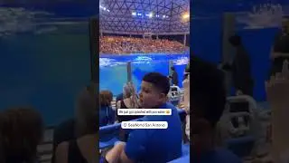 Whale splashes poop water onto crowd #shorts