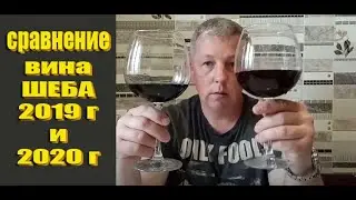 Обзор сухого вина из винограда ШЕБА 2019 г и 2020 года!