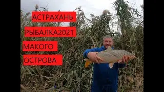 ОСЕННЯЯ РЫБАЛКА 2021 АСТРАХАНЬ МАКОГО ОСТРОВА.ПОПАЛИ НА ЖОР САЗАНА !!!