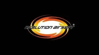 Evolution Airsoft LR-300