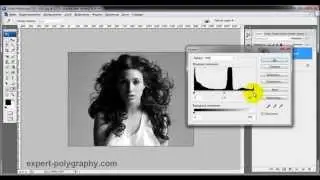 How to cut an object in Photoshop. 4 easy ways