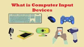 What is Input Device || Input devices of computer || Types of Input Devices