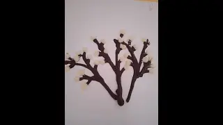 Веточка вербы