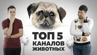 Топ- 5 