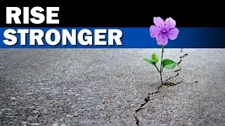 The Secret to Turning Rock Bottom into Success