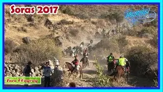 🎧🎼🌺 TORO CCAYCUY en SORAS SUCRE AYACUCHO 2017 🎤🍻💕