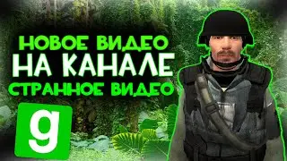 НОВОЕ ВИДЕО. Видео спустя пол года.