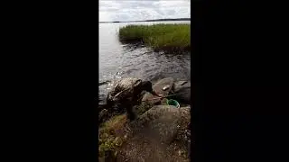 Отдых на ОТРАДНОМ
