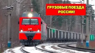 Railway: Train stopped on a stretch, long freight trains!