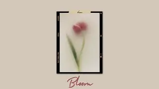 '' Bloom '' - Chill Guitar R&B Type Beat (prod. by wavytrbl)