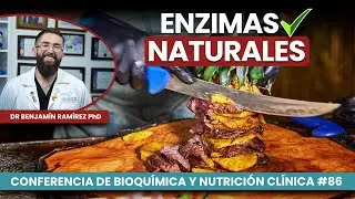 Mejorar Digestión de la Carne con Piña - Conferencia #86 Contra las Enfermedades - Dr Benjamín PhD