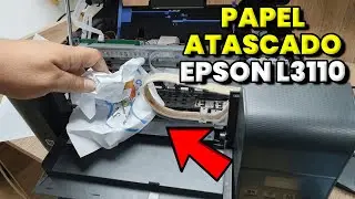 Paper Jam in EPSON L3110 (SOLUTION)