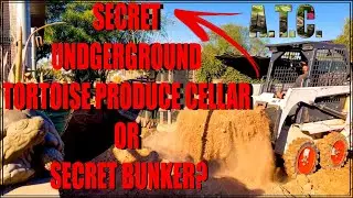 Secret Underground Cellar/Bunker