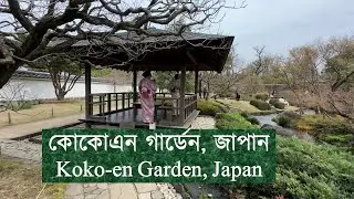 Kokoen Japanese Garden, Himeji | Kobe, Hyogo, Japan, Bangla Vlog | কোবে, হিয়োগো, জাপান | Tajim