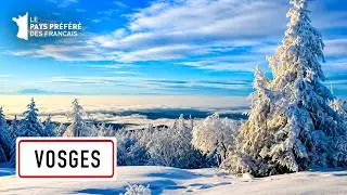 Vosges: Enchanted Forests and Exceptional Traditions - 1000 Countries in One - MG