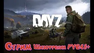 Стрим  Dayz Шизофрения PVE18+  просто играем  общяемся данжы