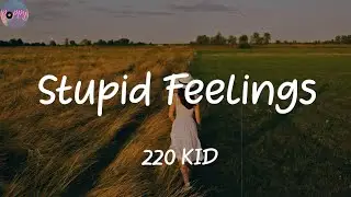 Stupid Feelings - 220 KID (Lyrics)