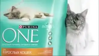 Прикол Purina One