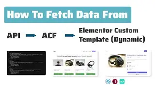How to Fetch Data from API to Elementor Template | No More Coding