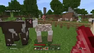 Nethrite(the rb smp pt 5)