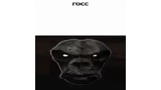 rocc