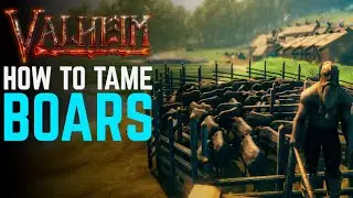 VALHEIM How to tame boar | 