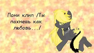 _Пони клип_/ Ты пахнешь как любовь.../ (Чит.опис)
