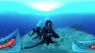 [360' VR] 팔라우 블루코너 스쿠버 다이빙 #2 (SCUBA Diving At Blue Corner, Palau)