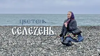 ЦВЕТЕНЬ - СЕЛЕЗЕНЬ | TSVETEN - SELEZEN | Official video