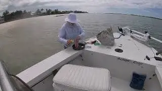 Catch Clean Cook Feb 2022