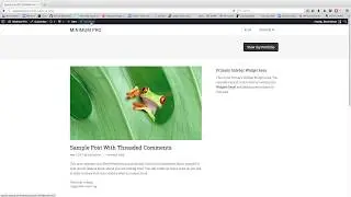 Use External Remote Hosted Image As Featured Image In Genesis