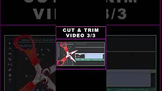 How To CUT And TRIM Video In Premiere Pro 2024