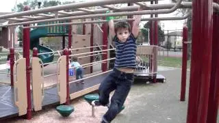 Rhenzo the monkey
