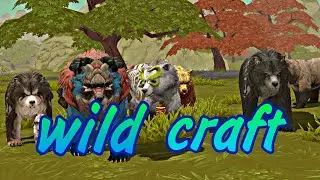 Выполняем задания по Wild pass
