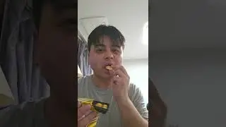 japanese cheesecake snack 