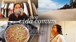 VLOG | Vida comum, novos hábitos, carne moida fácil, pintando o cabelo e muita conversa #donadecasa